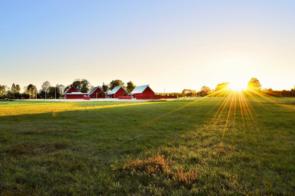 Farm